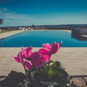 https://la-mela-di-venere.sicilyhotelsitaly.net